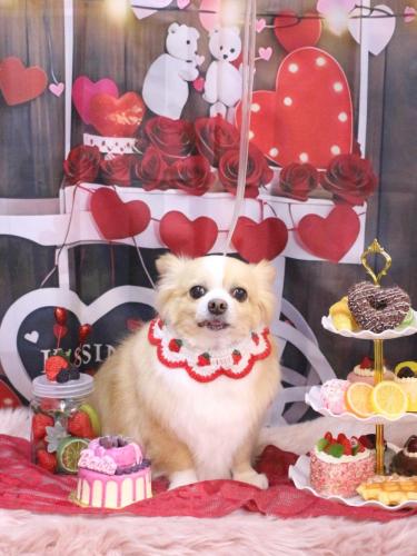 20250228マロ太くん